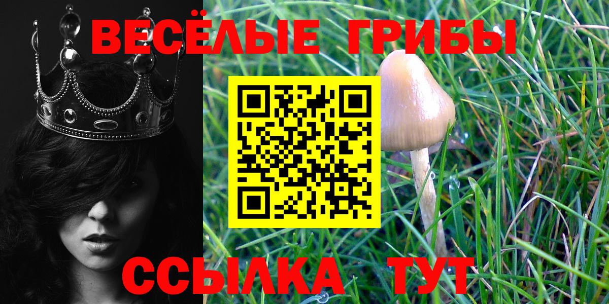 Ковров  Псилоцибиновые грибы Cubensis  Вход с VPN 